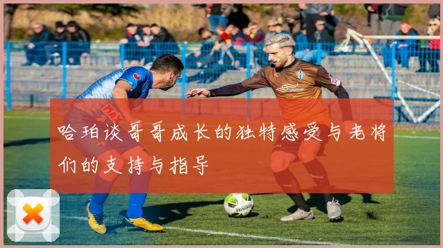 哈珀谈哥哥成长的独特感受与老将们的支持与指导